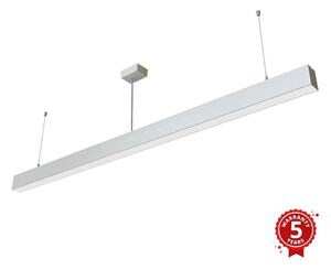 APLED - LED Lustr na lanku LOOK LED/58W/230V 4000K 150 cm stříbrná