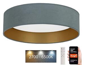 Brilagi - LED Stmívatelné svítidlo VELVET SMART LED/24W/230V Wi-Fi Tuya + DO