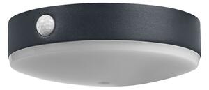 Ledvance-LED Solární nástěnné svítidlo se senzorem ENDURA STYLE LED/6W/3,7V IP44
