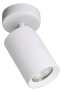 Stropní bodové svítidlo/spot 7 cm 1x GU10 biele Zuma Line TORE TLS006-WH