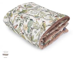 Dětský pokoj - Sametová teplá deka pro děti s motivem ornitologie 75x100 cm