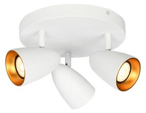 Bodové svítidlo stropní / spot 3x GU10 bílá ITALUX Tino SPL-36748-3R-WH-GD