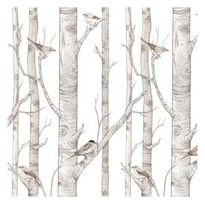 Dekorace na stěnu - Bílá tapeta s ptáčky z březového lesa