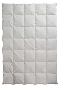 CELOROČNÍ PŘIKRÝVKA, 135/200 cm, prachové peří Centa-Star - Přikrývky, Online Only