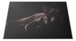 Skleněné prkénko černá kočka na černém podkladu - 30x20cm