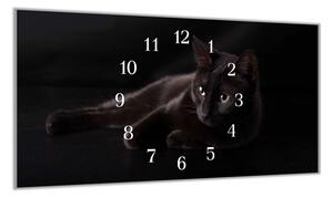 Nástěnné hodiny 30x60cm černá kočka na černém - plexi