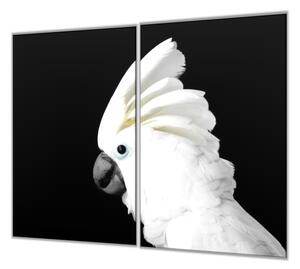Ochranná deska papoušek kakadu bílý - 52x60cm / S lepením na zeď