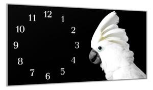 Nástěnné hodiny 30x60cm papoušek kakadu bílý - plexi