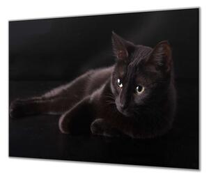 Ochranná deska černá kočka na černém podkladu - 50x70cm / S lepením na zeď