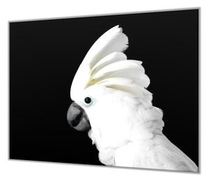 Ochranná deska papoušek kakadu bílý - 50x70cm / Bez lepení na zeď