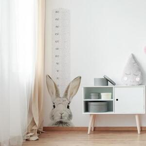 Dekorace na stěnu - Dětský výškový metr na zeď s králíkem