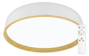 Top Light - LED Stmívatelné stropní svítidlo DEKOR LED/51W/230V + DO bílá/béžová