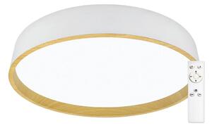 Top Light - LED Stmívatelné stropní svítidlo DEKOR LED/51W/230V + DO bílá/béžová