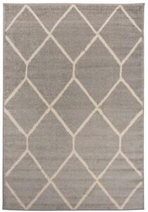 Makro Abra Moderní kusový koberec SPRING H180A Šedý Rozměr: 160x230 cm
