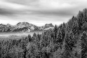 Fototapeta černobílé zmrzlé hory