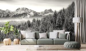 Fototapeta černobílé zmrzlé hory