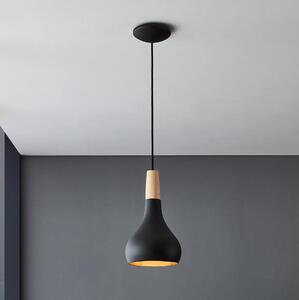 Eglo 900161 - Lustr na lanku SABINAR 1xE27/40W/230V pr. 18 cm černá