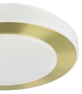 Eglo 900369 - LED Koupelnové stropní svítidlo CARPI LED/10,8W/230V IP44