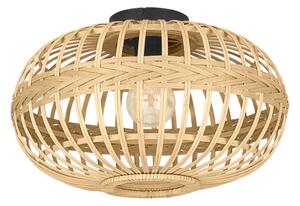 Eglo 43723 - Stropní svítidlo AMSFIELD 1xE27/40W/230V