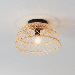 Eglo 43831 - Stropní svítidlo AUSNBY 1xE27/40W/230V