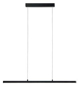 Paulmann 79693 - LED/42W Stmívatelný lustr na lanku LENTO 230V černá