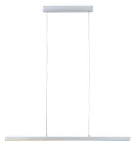Paulmann 79902 - LED/43W Stmívatelný lustr na lanku SMART LENTO 230V 2700-6000K