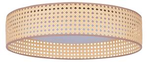 Duolla - LED Stropní svítidlo ROLLER LED/24W/230V pr. 45 cm ratan