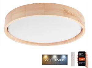 Brilagi - LED Stropní svítidlo MANAROLA SMART LED/24W/230V + DO Tuya