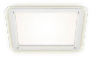 Briloner 3397-016 - LED Stropní svítidlo FREE LED/22W/230V