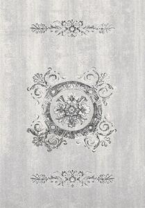 Kusový koberec vlněný Agnella Agnus Fotynas Světle Šedý Rozměr: 300x400 cm