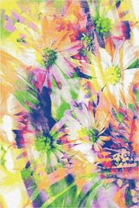 Kusový koberec Agnella Funky Top Mag Miod Květy Vícebarevný Rozměr: 200x280 cm