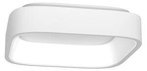 Immax NEO 07032L - LED Stmívatelné stropní svítidlo TOPAJA LED/47W/230V + DO