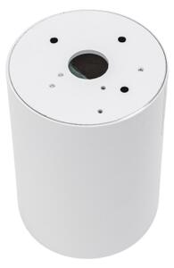 Bodové svítidlo CHLOE 1xGU10/35W/230V kulatý bílá/zlatá