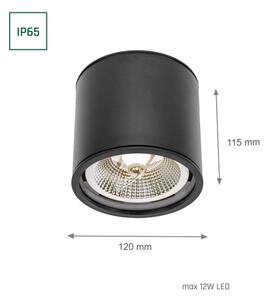 Koupelnové bodové svítidlo CHLOE AR111 1xGU10/12W/230V IP65 kulatý černá