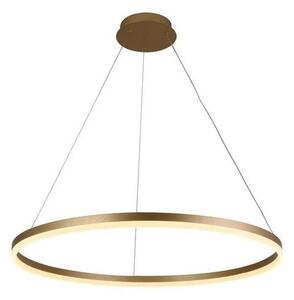 LED Stmívatelný lustr na lanku LED/55W/230V 3000-6500K + dálkové ovládání