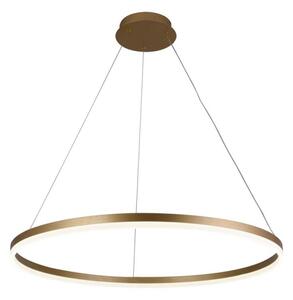 Brilagi - LED Stmívatelný lustr na lanku CIRCLE LED/55W/230V 3000-6500K zlatá+DO