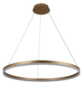 LED Stmívatelný lustr na lanku LED/55W/230V 3000-6500K + dálkové ovládání