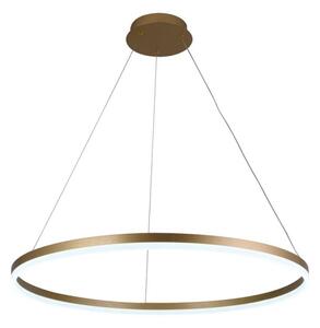 LED Stmívatelný lustr na lanku LED/55W/230V 3000-6500K + dálkové ovládání