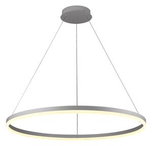 Brilagi - LED Stmívatelný lustr na lanku CIRCLE LED/55W/230V 3000-6500K + DO