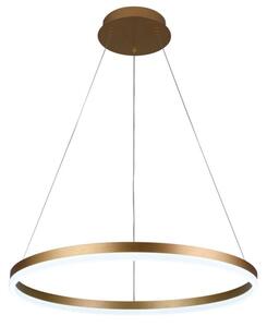 Brilagi - LED Stmívatelný lustr na lanku CIRCLE LED/42W/230V 3000-6500K + DO