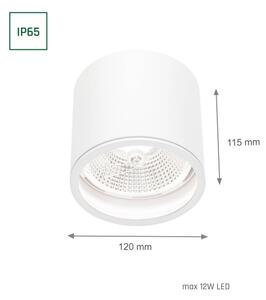 Koupelnové bodové svítidlo CHLOE AR111 1xGU10/12W/230V IP65 kulatý bílá