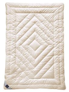 CELOROČNÍ PŘIKRÝVKA, 135/200 cm, kašmír Billerbeck - Přikrývky