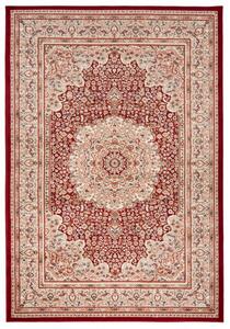 Makro Abra Kusový koberec klasický NEMRUT 8582S Červený Rozměr: 200x300 cm