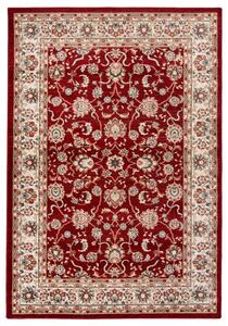 Makro Abra Kusový koberec klasický NEMRUT L423A Červený Rozměr: 140x200 cm