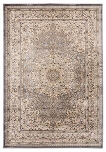 Makro Abra Kusový koberec klasický NEMRUT 8582E Šedý Rozměr: 200x300 cm