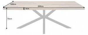Jídelní stůl GALAXIE VINTAGE BROWN 200 CM masiv recyklovaná borovice Nábytek | Jídelní prostory | Jídelní stoly | Všechny jídelní stoly