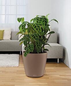 Samozavlažovací květináč Classico Color, průměr 14 cm, písková hnědá