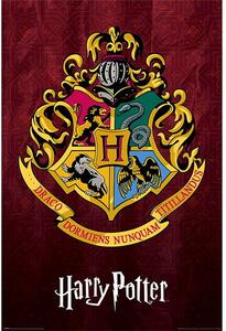 Plakát Harry Potter - Bradavická škola čar a kouzel