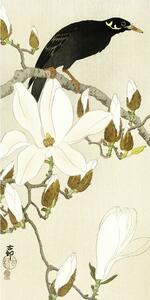 Umělecký tisk Myna On Magnolia Branch, Ohara Koson, (20 x 40 cm)