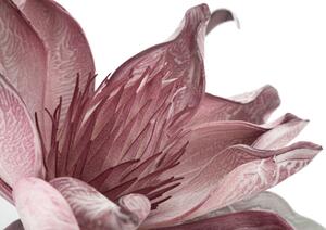 Umělá květina EPIPHYTA V3 98 CM růžová skladem